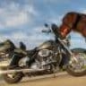 , Moto: Le compteur de vitesse a cessé de fonctionner. | Forums Harley Davidson